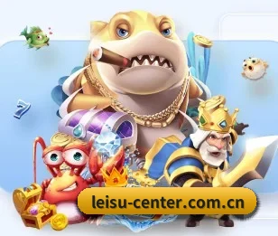 leisu-center.com.cn的故事